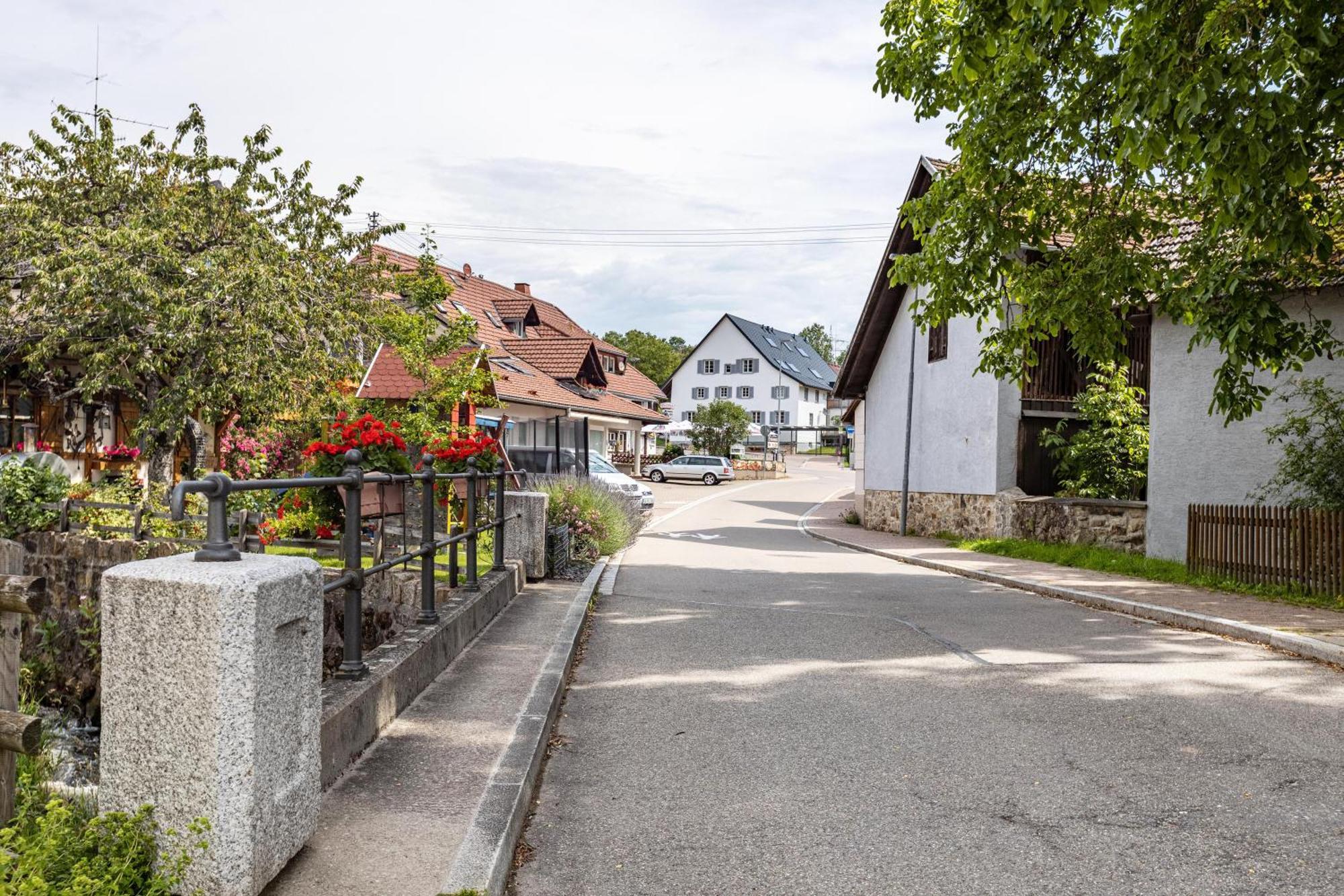Ferienhaus Muelhaupt Uehlingen-Birkendorf Ngoại thất bức ảnh